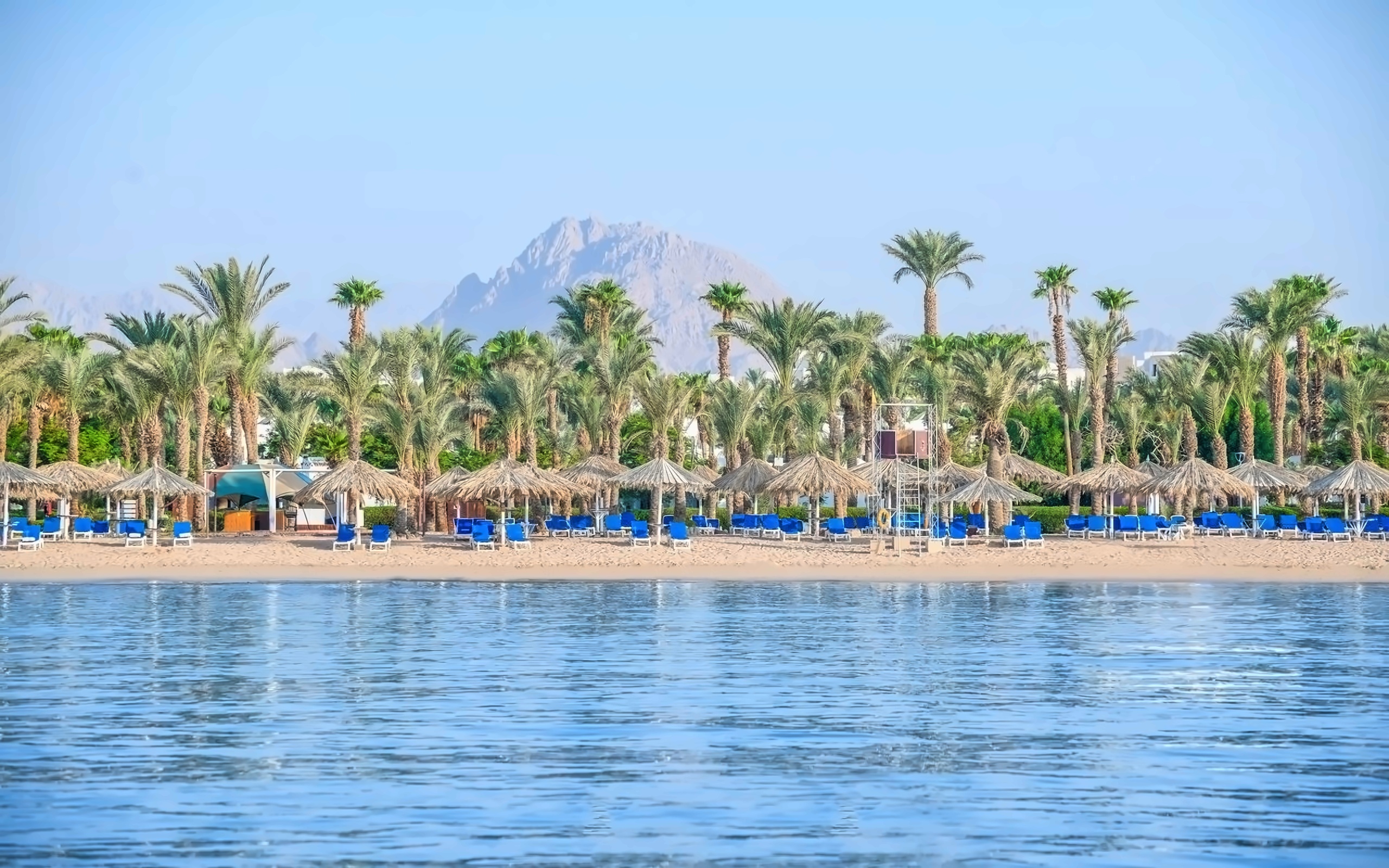 Jaz Sharm Dreams Sharm El Sheikh / Naama Bay Egypt photo, price for the ...