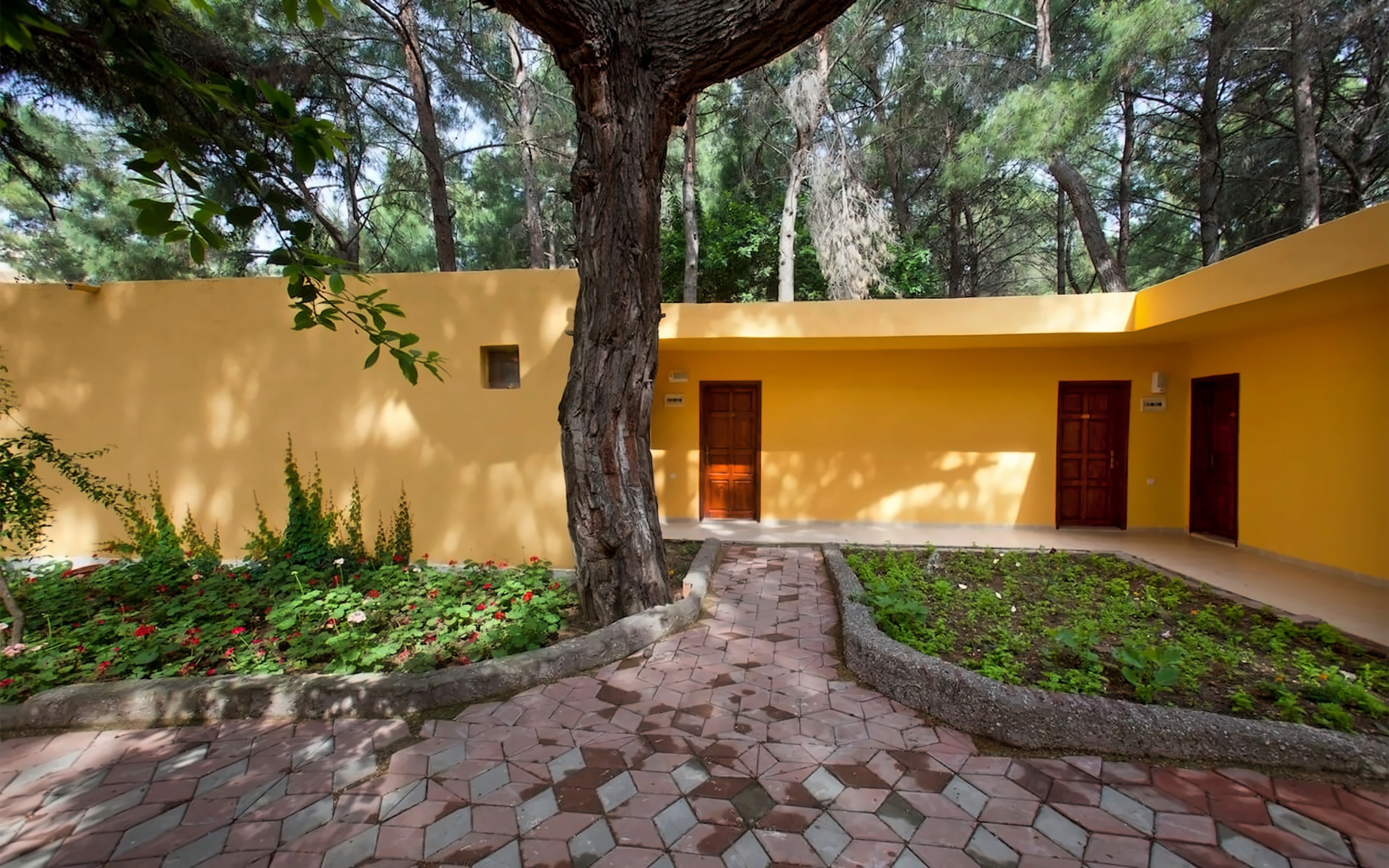 Бич клаб пинара кемер. Beach club pinara hv2 4 турция кемер tekirova. Club pinara) 3*. Бич клаб пинара кемер. Пинара клаб турция текирова.